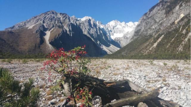 美图|海量美图来袭！走进干河坝感受不一样的玉龙雪山