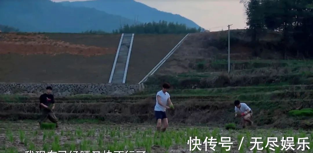 嘉宾重复请、广告太频繁、农活总干不完，被《向往4》劝退