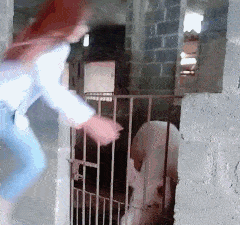 |搞笑GIF:大家的评价是这家店老板娘活儿好!