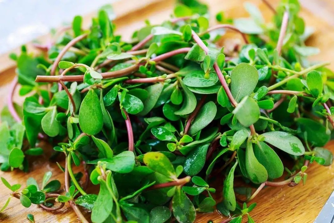 混合痔|痔疮最佳的治愈方法，这三种食材早晚来一点，快速治好痔疮不复发！