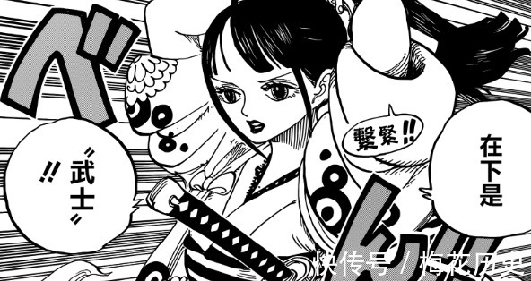 光月|海贼王小菊VS勘十郎