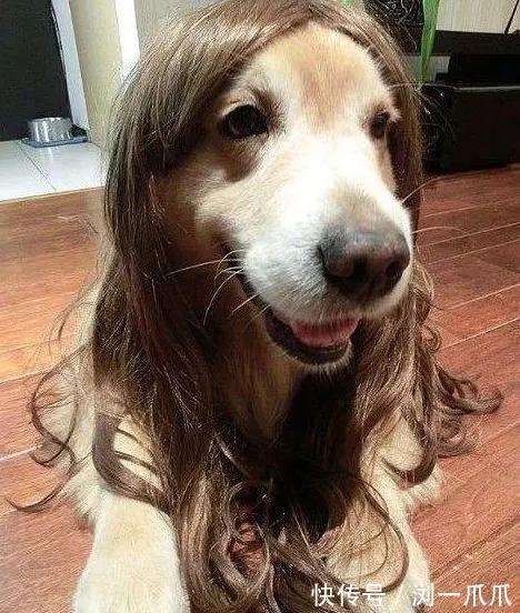 |搞笑GIF:喜欢上一个妹子,但是不知道她在练什么功夫