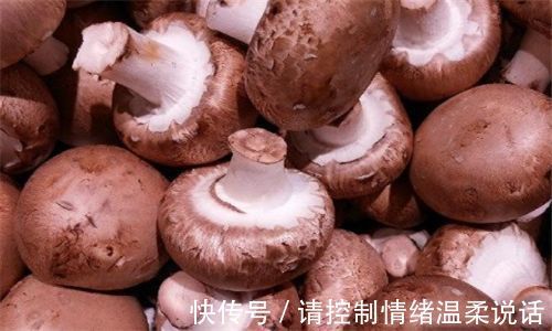 营养|秋天来了,每天吃3种食物,营养丰富,延缓衰老,补充维生素