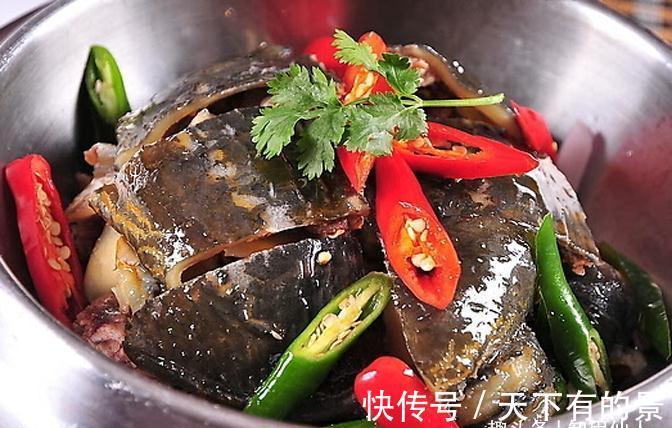 美食推荐:原汁武陵甲鱼、松茸黄酱蒸银鳕鱼、炭烤蛏子制作方法