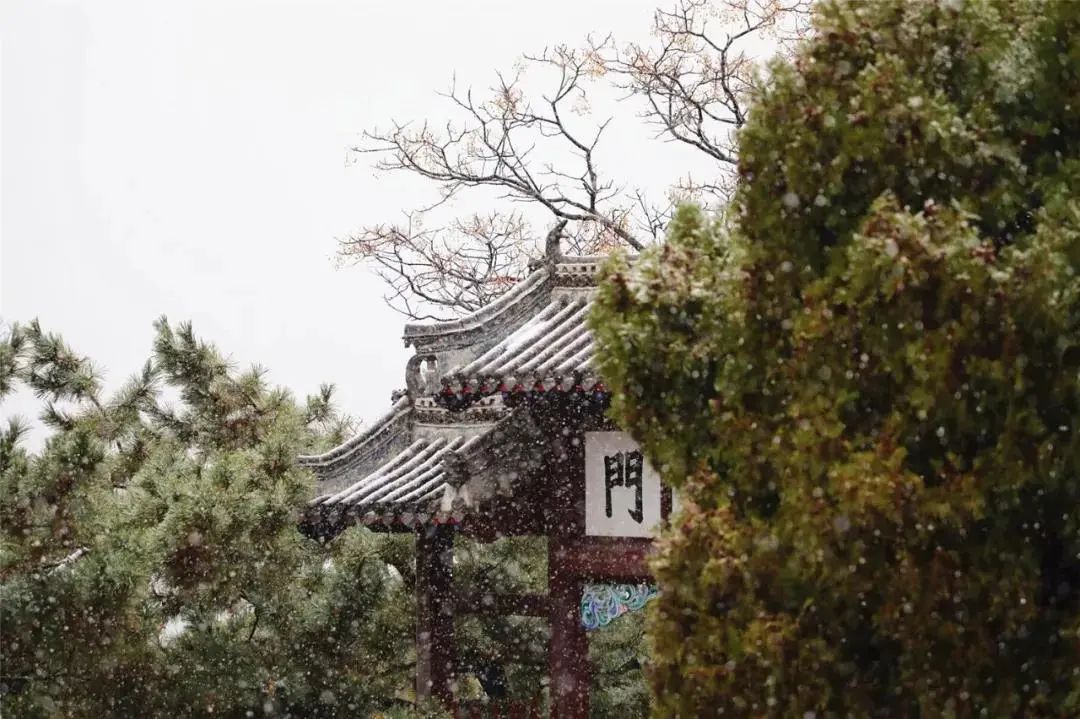 期待|期待一场大雪 邂逅最美山“冬”