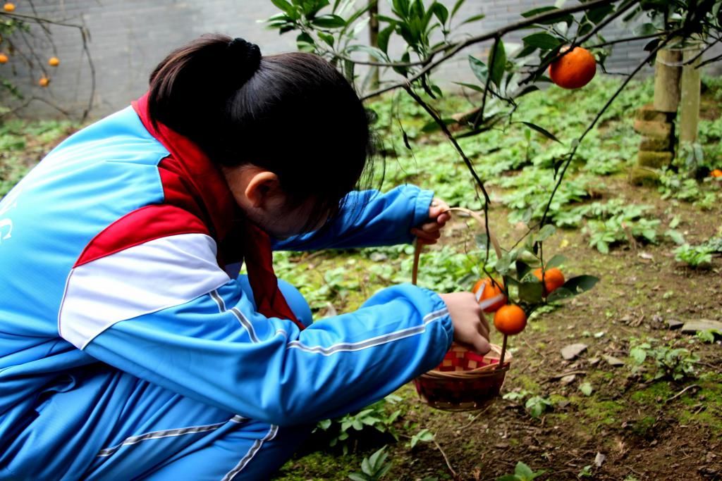  记住|记住乡愁栏目摄制组一行走进陶渊明纪念馆