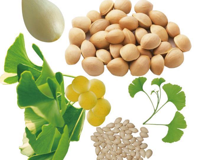 海带|有甲状腺结节的人,多吃这4种天然“消炎药”,结节可能慢慢变小