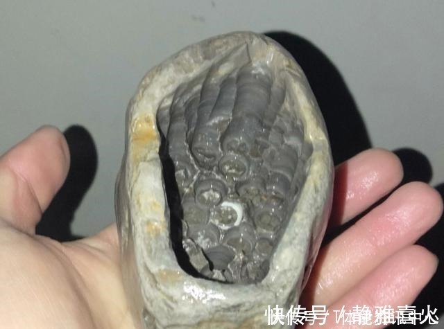 切割机|花盆买不起，自己动手做，好看又实用！花盆买不起，自己动手做，好看又实用！