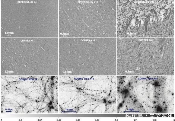 脑洞大开，宇宙与大脑竟然有很多相似之处