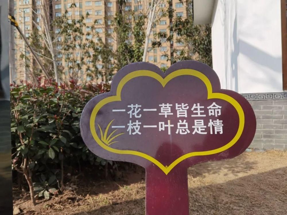 低薪|唯有“春光”不可辜负，假期最后一天来这！