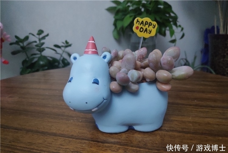 一肉一世界，一方一净土