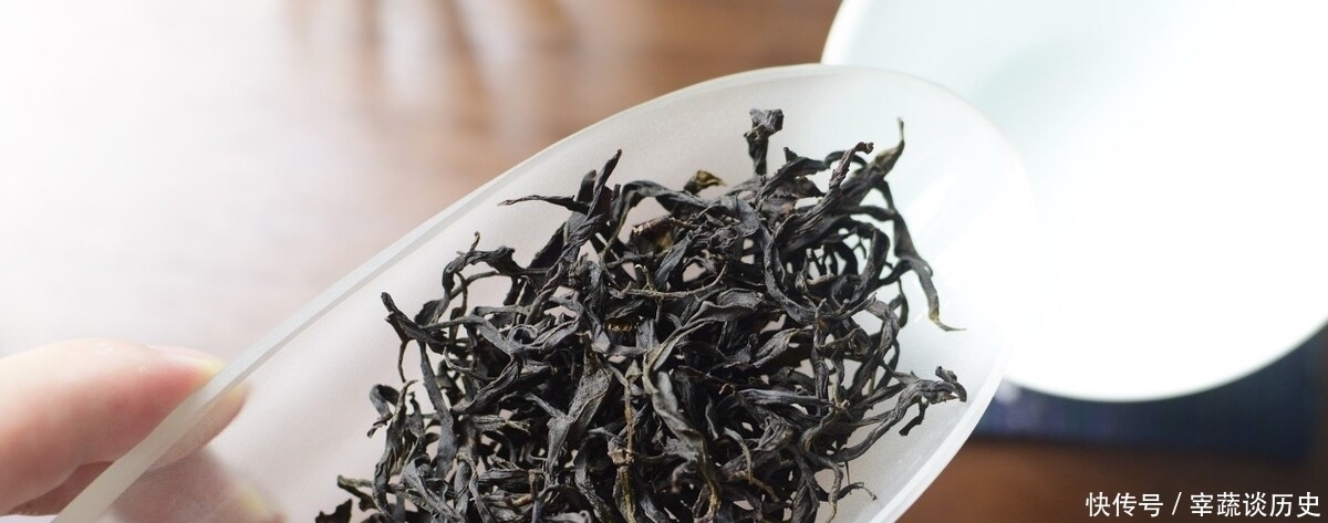 单丛|胃不好可以喝什么茶,喝铁观音和单丛可以吗?