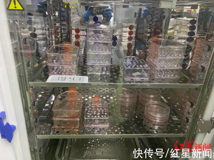 徐伟|红星观察｜高中学历父亲“自制药”救子背后：罕见病救治之困要如何破局？