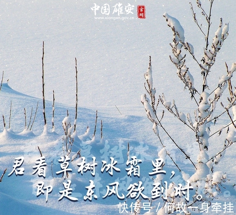 腊月@将诗意写进腊月,悄然珍藏