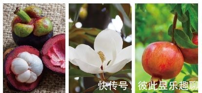 爽肤水|只要“不停产”就会一直囤货的5款护肤品，某国货竟位居榜首！