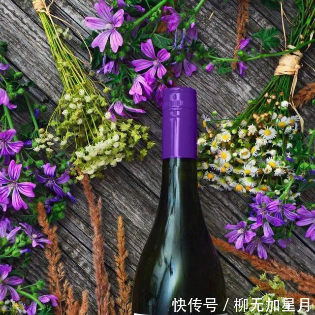 葡萄酒|标注“老藤”的葡萄酒,品质就一定高吗