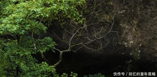 春游天柱山，仙境炼丹湖