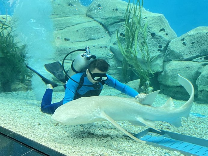 海洋生物|泉州高质量发展海丝文旅产业：保护海洋生物 共建人与动物和谐共处的世界旅游目的地