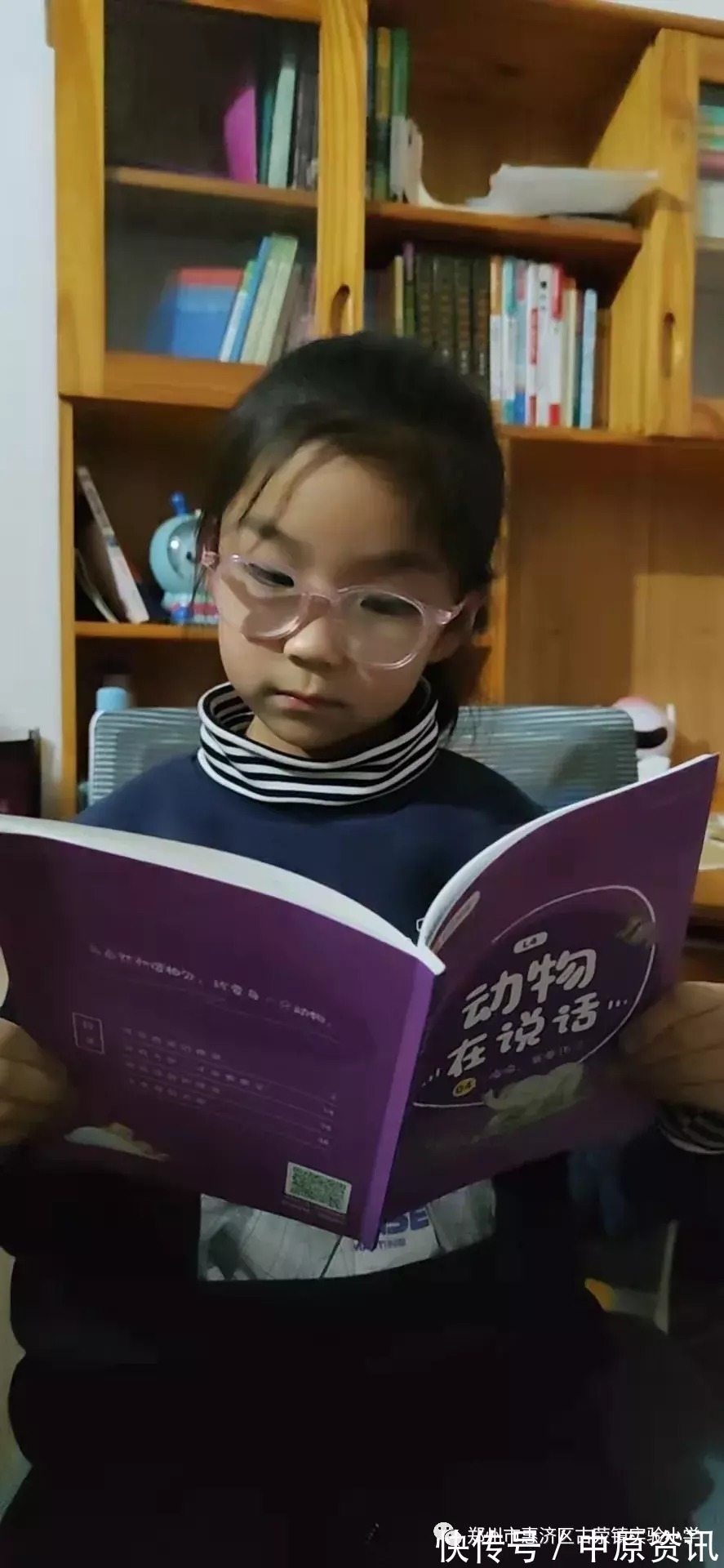 日本漫画家!书香系列||学生荐书:《十一只猫做苦工》