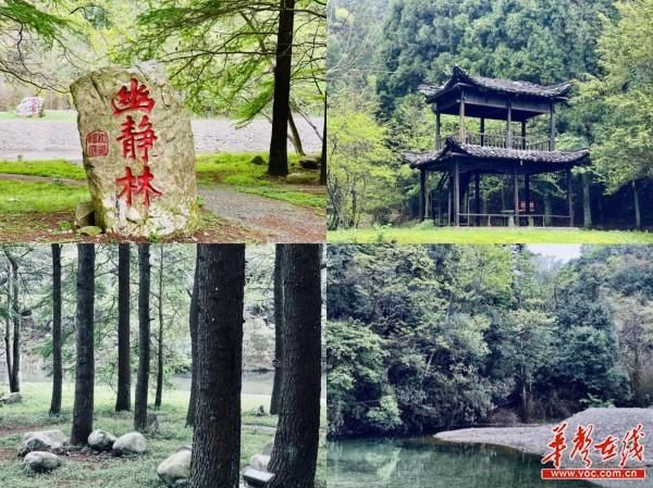 小唐策游潇湘之三：阳明山何止杜鹃红和万寿寺