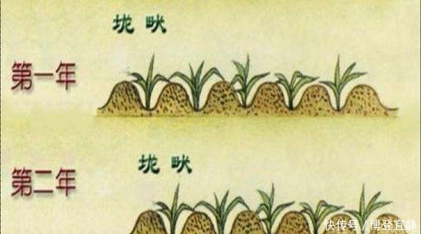 革命|匈奴被两汉碾压的背后,是领先世界千年的科技革命,到底有多强