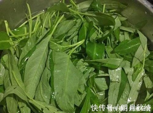 空心菜|它是“刮油王”,每天吃一回,肠道畅通,排出宿便,越吃越瘦