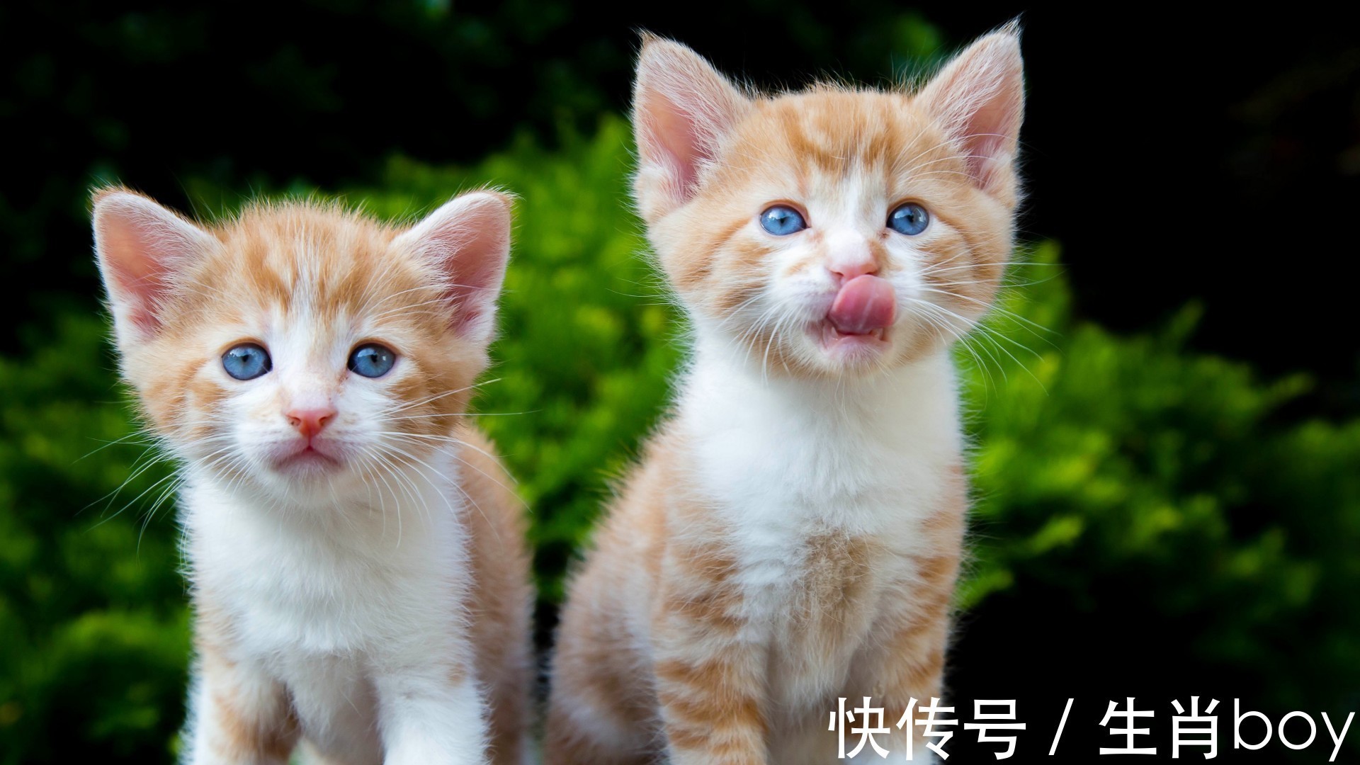 星座|能化解“社交恐惧症”的星座,和他们相处的时间越长,越是默契