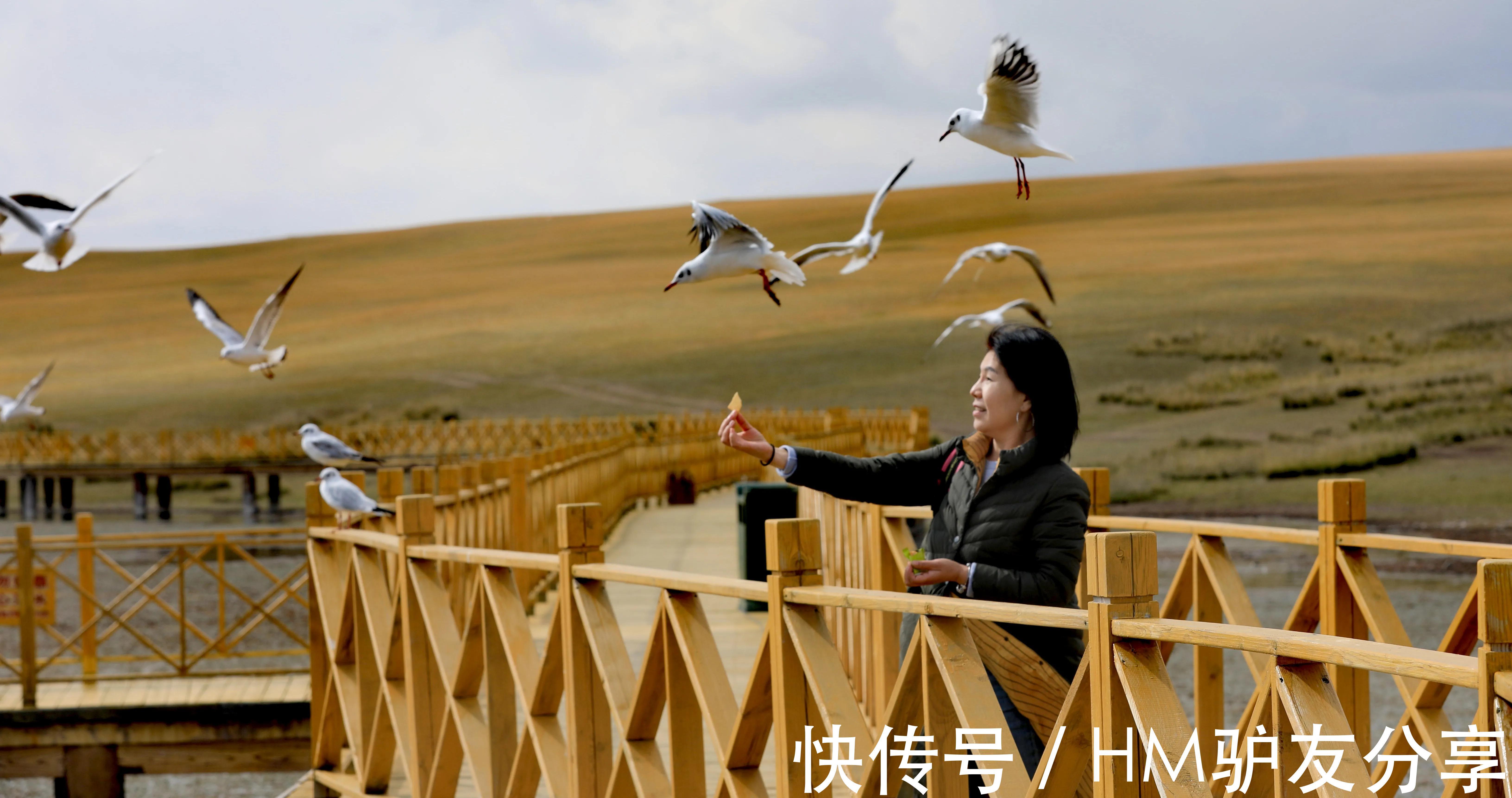 巴音布洛克草原|新疆之旅--9day 最美独库公路之精华段，那拉提--巴音布洛克草原