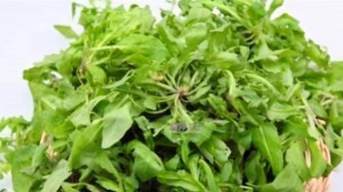 肌肤|会吃的人最健康,3种食物离不开,补血养颜,滋养肌肤!