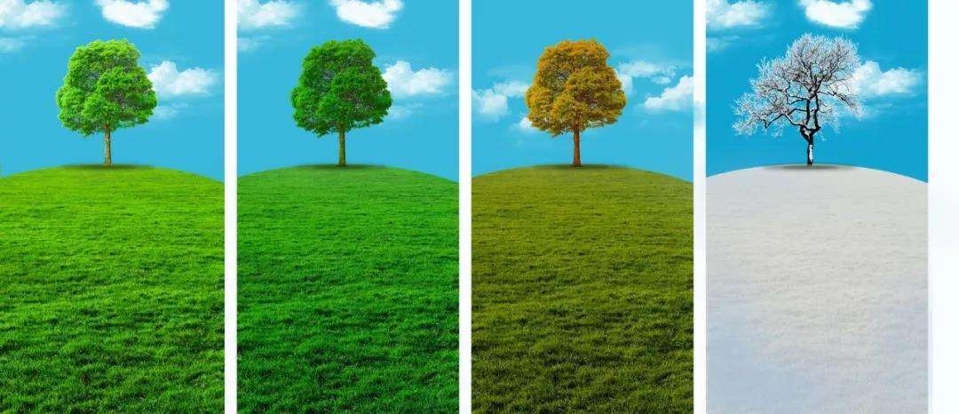 永恒 五种关于时间的假说刹那即永恒、时间倒流，时间是幻觉等