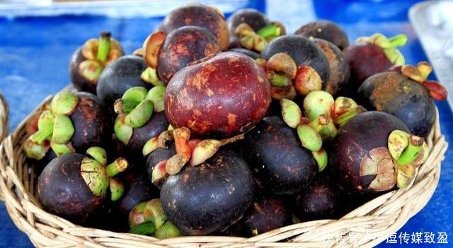 远方|海洋探秘|舌尖上的海洋之美味自远方