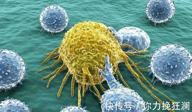 黄曲霉毒素|藏在卫生间里的“这玩意”,可能是“黄曲霉素”的源泉,尽量处理!