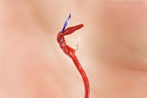 钓鱼|同样钓鱼别人连杆,你却次次抬杆不中鱼,你懂看漂抓口的技巧吗