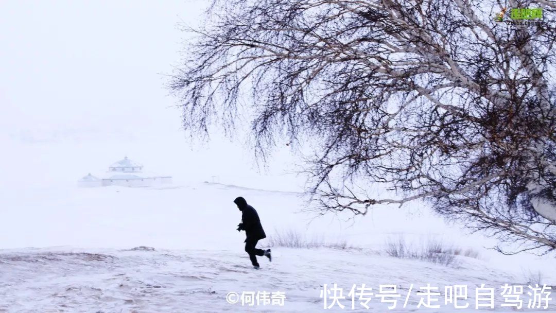 自驾|北上看雪，南下看花，这12个地方承包年末旅行