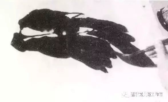 李苦禅&书画鉴赏丨李苦禅画谱，教你画鹰