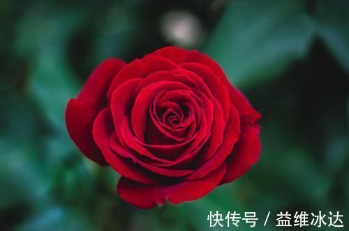 桃花星|未来一周财、情两得意，注定喜从天降，极受桃花星照顾生肖