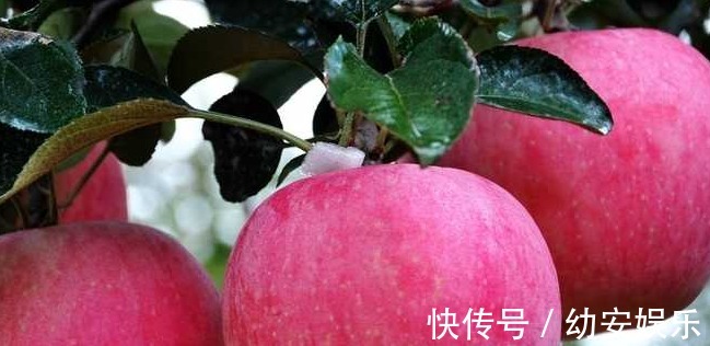 苤蓝|想长寿,平时坚持吃4种食物,排毒抗衰,保护肠胃,越活越年轻