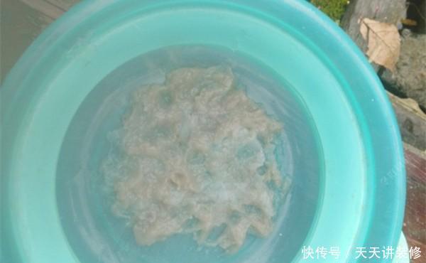 冬季钓鲫鱼,这样的饵料更受欢迎,成本不到三块钱,鱼咬钩更猛