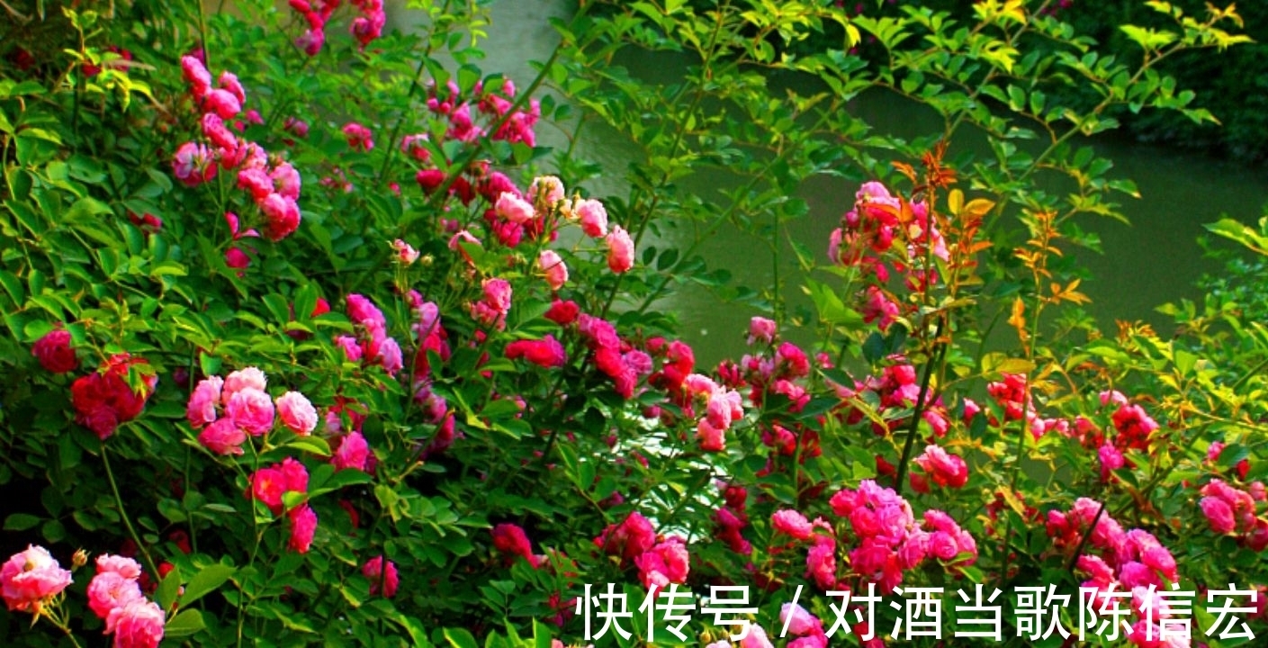 春思$范成大写在惊蛰的《秦楼月》:远景是春色如许,近景是春思绵密