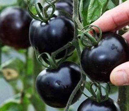 血瘀证|预防身体变老，多吃的食物，清理肝脏垃圾，增强抵抗力，气色好