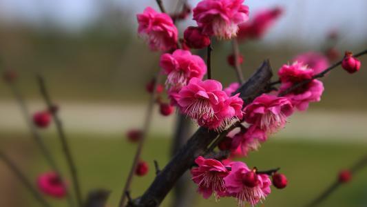 美好的生活|2022年好运来临,喜提好运,幸福八方来的3大生肖