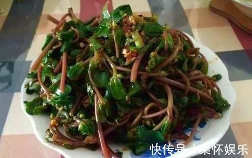 石龙芮|可能你认识“它”,但在采摘的时候,希望你尽量保留根部,谢谢