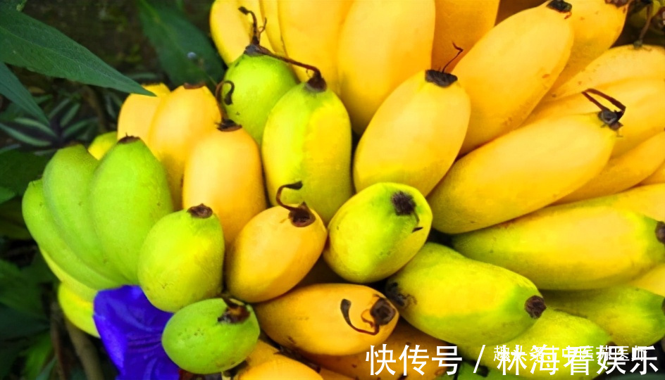 鲍鱼肉|对人体极好的食物,男女坚持吃,细腻肌肤,活血养颜,排毒润肤