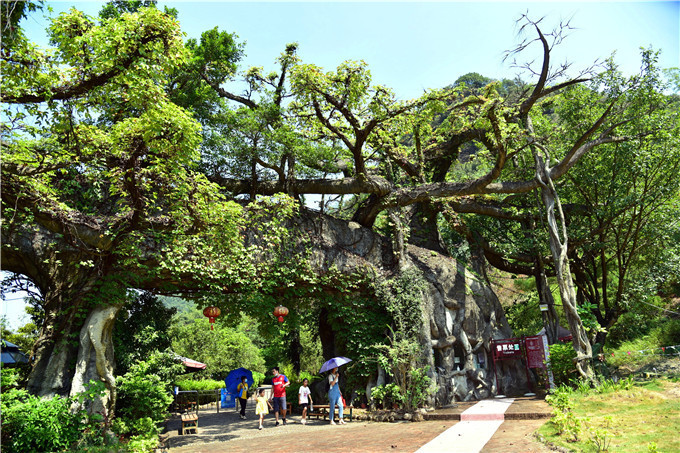 中秋|游神峰美景，品阳山美食，中秋国庆到清远阳山抓鸡吃鸡剥板栗