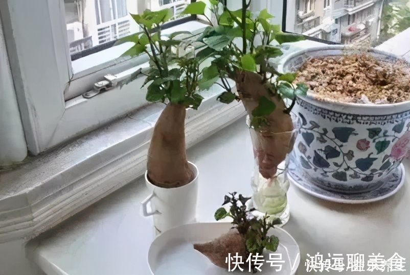 山楂|山楂十九片,血管好一年!软化血管降血压,老中医一喝一壶