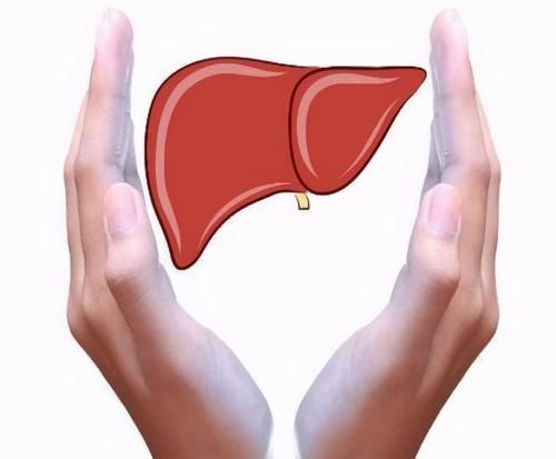 春季養(yǎng)生重在養(yǎng)肝，中醫(yī)專家教你正確的養(yǎng)肝方法