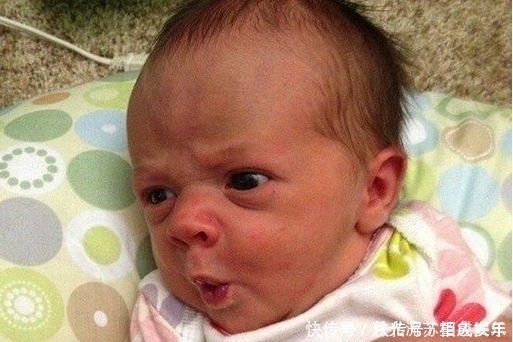 年度最佳|年度最佳宝贝影帝，看看这些哭笑不得的表情帝，萌翻了