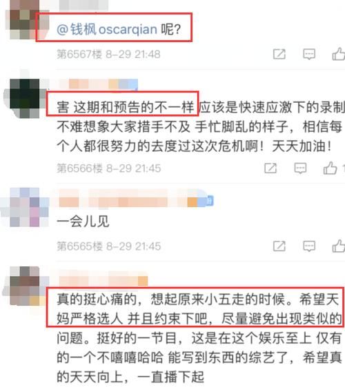 正片|钱枫未出现在《天天向上》中，预告与正片内容不同，舞台仍有空位