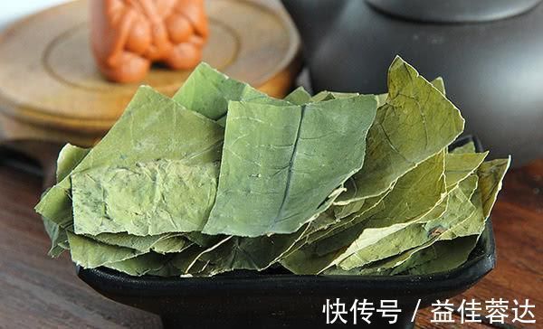 血管|高血压“最怕”此种茶,三伏天常喝它,能降低血压,软化血管!