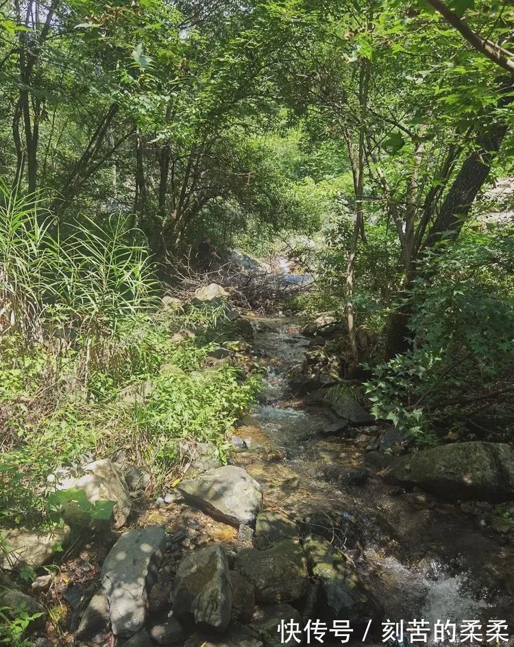 三门峡市|2021年度三门峡市乡村旅游特色村——卢氏县瓦窑沟乡高河村